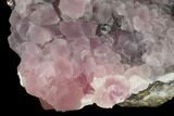 Cobaltoan Calcite Crystal Cluster - Bou Azzer, Morocco #161166-1